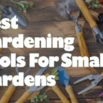Best Gardening Tools for Small Gardens