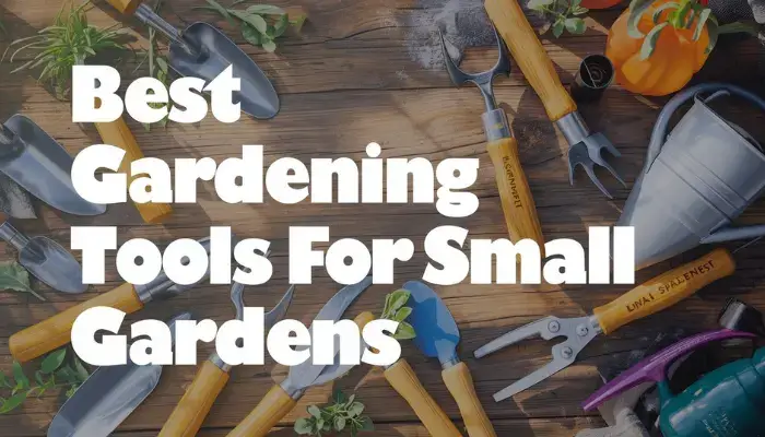 Best Gardening Tools for Small Gardens