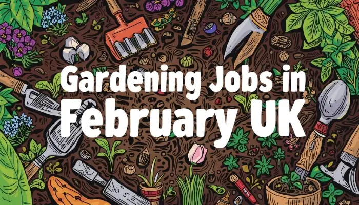 Gardening Jobs in February in the UK