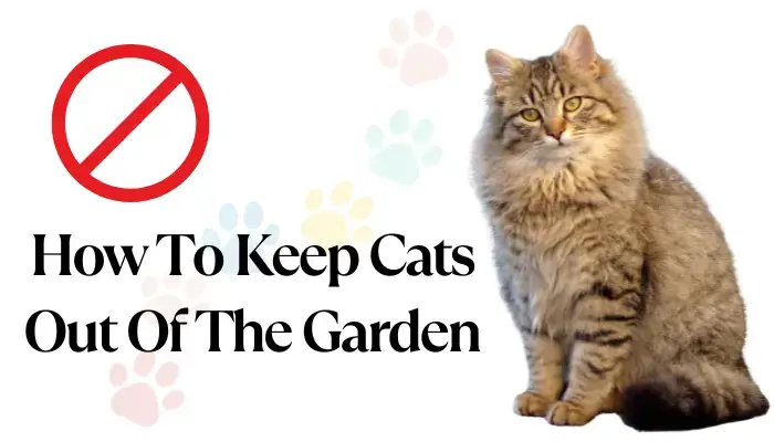 How To Keep Cats Out Of The Garden