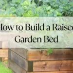 How to Build a Raised Garden Bed Easily Easy Step by Step Guide