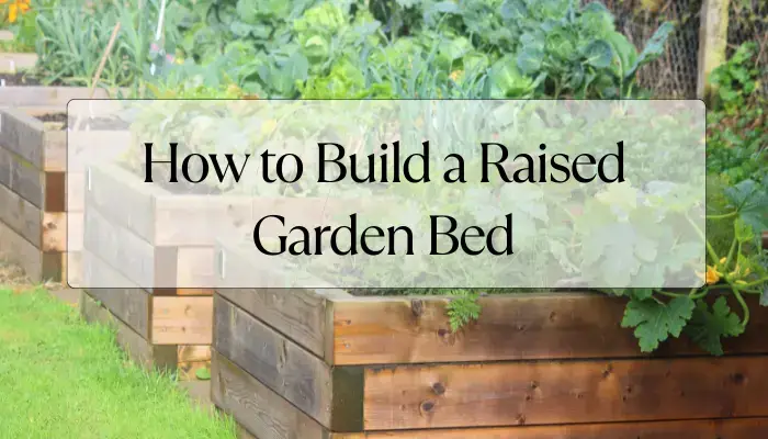 How to Build a Raised Garden Bed Easily Easy Step by Step Guide
