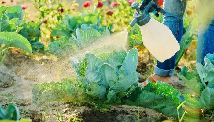 How to Use Natural Pest Control in UK Gardens (Beginner’s Complete Guide)