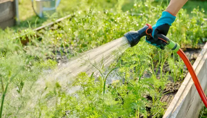 Maintaining Your Raised Garden Bed