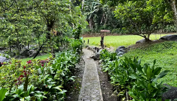 Rustic Stone Pathways