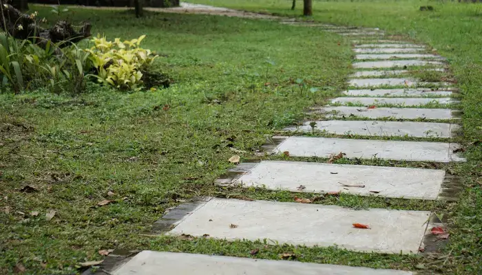 Log Slice Stepping Stones