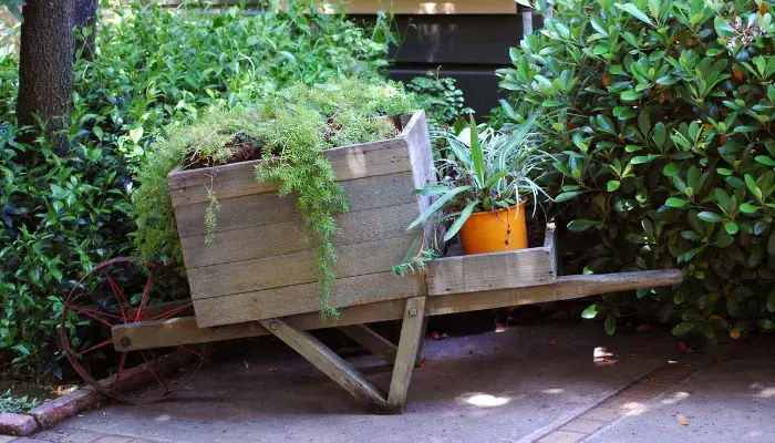 Vintage Wheelbarrow Planters