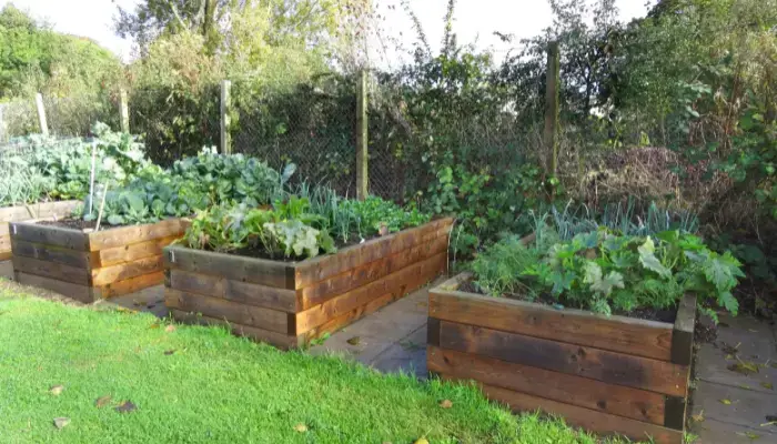 What is a Raised Garden Bed
