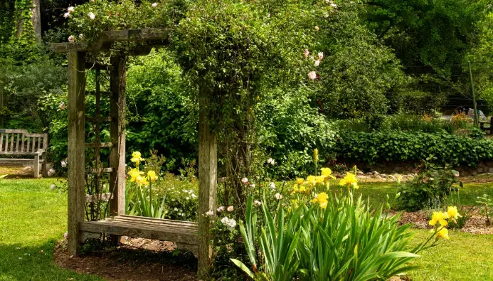 Wooden Pergola with Climbing Plants