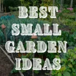 best small garden ideas