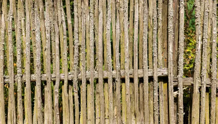  Willow Fence